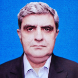 Salman Mufti
